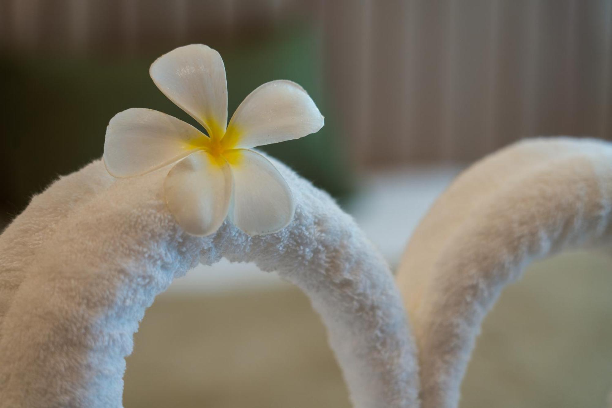 Niranapa Boutique Resort หาดกะตะ ภายนอก รูปภาพ